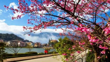 Lâm Đồng tơniăn tơdah tơmối troh ôm hyôu Tết lo hơnăm nếo ​2021