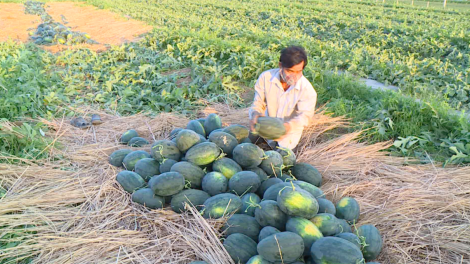 Gia Lai: Rak tơniăn pơkâ péa xôh rế mơnhông cheăng kâ – rêh ối pơlê pơla, rế hbrâ mơdât pơreăng COVID 19
