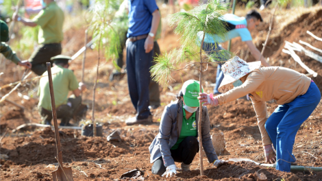 Gia Lai: Pêt 200 xiâm loăng tung hâi Leh mơhnhôk “Xua môi Việt Nam ngiât lĕm”