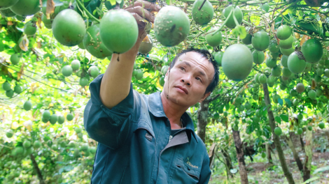 Tơring Lạc Dương (Lâm Đông) mơdon tơ’nôm hơnăm pêi klêi thôn pơlê nếo