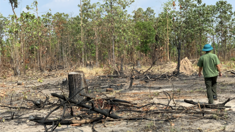 Gia Lai ko ‘nhê kong a kơpong rơchôa têa Ia Mơr