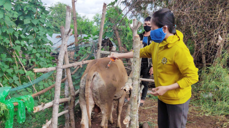 Kon Tum: Ai tơring ki apoăng tơbleăng ai pơreăng êi kéa lo po pom a kơpôu ro