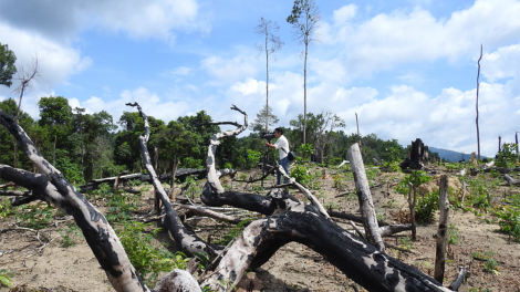 Ai tơdroăng kâ kơluâ ‘na 17 ha kong ki tro ko ‘nhiê a Kon Tum