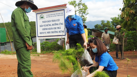 Kon Tum: ​pêt lối 3.600 ha kong luât tơdroăng pơkâ