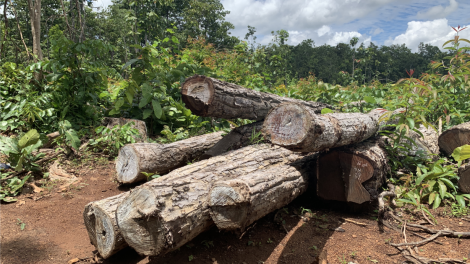 Ôh tá tá ‘nâi nhên loăng tong kếo ôh tá tro luât ‘măn hên hĭn a Tíu xiâm rak vế rui Dak Lak