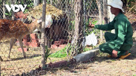 Ki tơ-ƀrê ing túa păn chiu ngrế ngro a tơring Măng Yang, Gia Lai