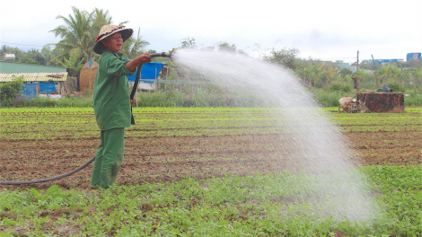 Vi [an hnê ngăn kong pơlê Gia Lai séa ngăn pêi pro hnoăng cheăng klêi kơ’nâi rôh pơtê Têt Lo hơnăm nếo