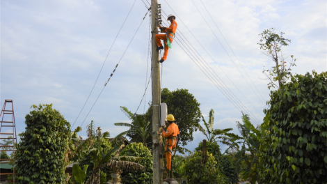 Dak Nông: Lối 170 rơtal liăn ‘no mơjiâng pro troăng kơxái on tơhrik