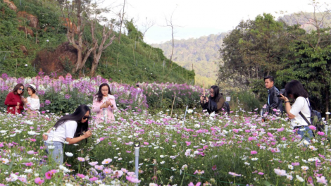 Lâm Đồng: Ôm hyô chiâk deăng thế troh a râ tơnêi têa [a\ lâp plâi tơnêi