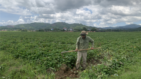 Dak Lak: Pôm ló oh tá ai yă, ôh tá ai ngế rôe
