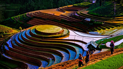 Ngế ‘’kơchuâ um kơlo’’ tíu tơkoh ƀă plêng