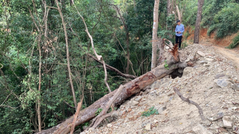 Roh ko ‘nhê kong Kơdrum Ilâng pro troăng: Loăng hiăng hdâ hía ulâi?