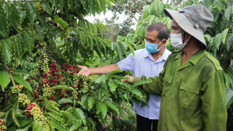 Dak Lak: Tê ngi kong têa ê tơmeăm pêi lo ing chiâk deăng 6 khế apoăng hơnăm 2022 châ vâ chê 20 rơpâu rơtal liăn