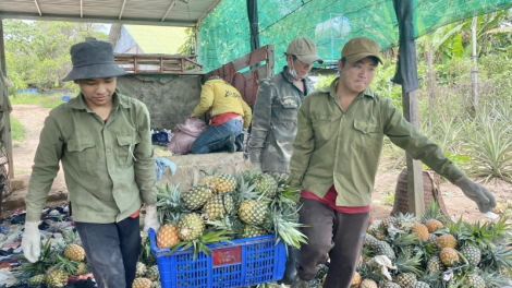 Krông Bông - Dak Lak: Xik ôh tá châ tê, kuăn pơlê tro lŭp