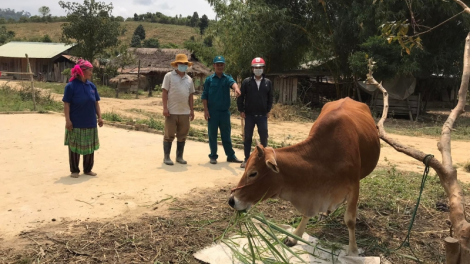 Drêng kăn cheăm pêi ahdrối tơdroăng mơhnhôk thế rôe ro păn kum mâu ngế kơtiê tơkâ luâ xơpá