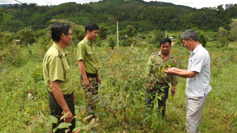 Kon Tum - Luât pơkâ mơhá liăn ăm hnoăng rak ngăn kong kum ăm kuăn pơlê mơnhông tung rêh ối