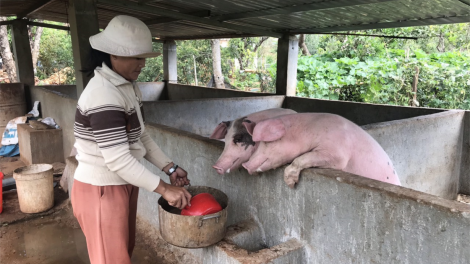 Ngế păn mơnăn thế ki pro ti lâi drêng yă mơdrăn to kơnâ?