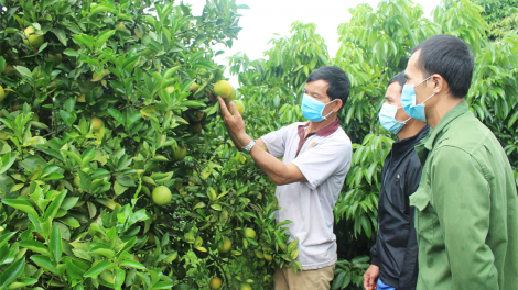Đăk Đoa (Gia lai) mơnhông pêi chiâk deăng xúa kơmăi kơmok rơxông nếo