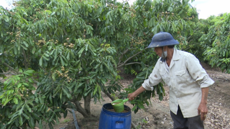 Gia Lai: Kuăn pơlê pê klêi drêng yă phon to kơnâ