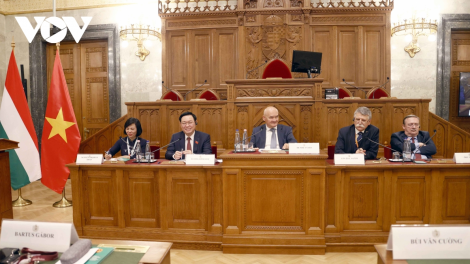 Pôa Vương Đình Huệ, Kăn xiâm hnê ngăn Kuô̆k hô̆i tơpui tơno ‘na mơjiâng luât pơla Kuô̆k hô̆i Việt Nam ƀă Hungary