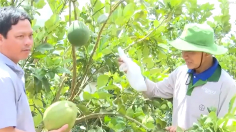 Gia Lai: Tíu xiâm ki pêt tiu Čư̆ Pưh hơ’leh pêt hdrê loăng plâi kâ