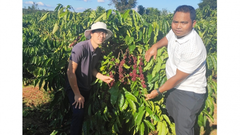 Mơngế Bơhnéa a Gia Lai pêt kơphế tro tiô pơkâ tê ăm kong têa ê