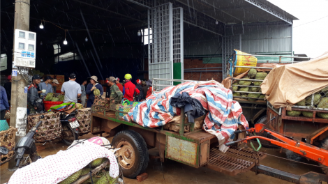 Dak Lak thâ ti tăng tíu tê plâi sâu riêng