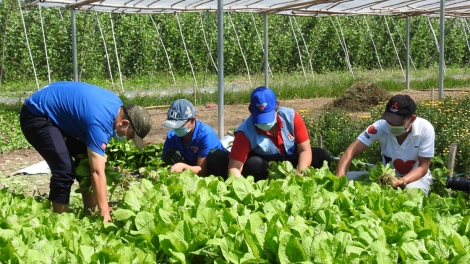 Kon Tum: Kum kơchâi drêh pơtroh kuăn pơlê Pơlê kong kân Hồ Chí Minh hbrâ mơdât COVID 19