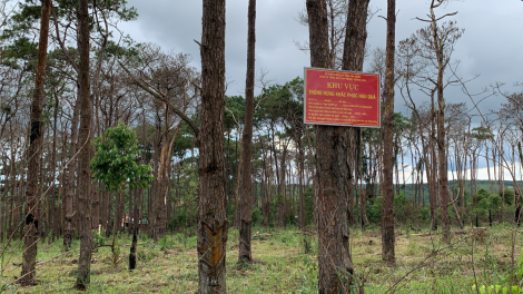 Dak Nông: Pêt 3 rơtuh xiâm loăng ngiât a mâu kơpong kong tro hdi xo
