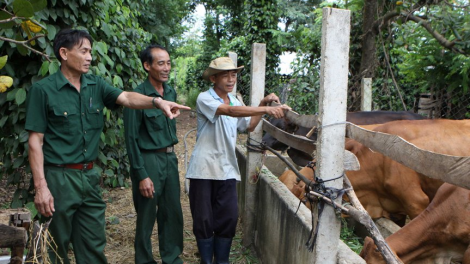 Dak Lak: Ngế mô đo#i hneăng hdrối pêi cheăng kâ rơkê, kơhnâ veăng mơjiâng thôn pơlê nếo