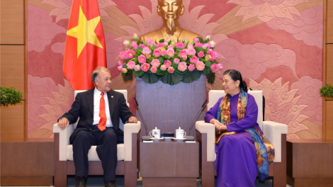 Kăn xiâm pho\ hnê ngăn Kuo#k ho#i tơdah Kăn xiâm pơkuâ hnê ngăn Đảng kong têa Mexico