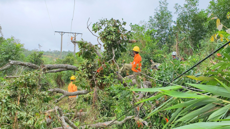 Dak Lak ‘mâi rơnêu pro on tơhrrik ăm lối 16 rơpâu 500 rơpŏng ki tro tơdjâk xua khiá mơhot kân xô̆ 5