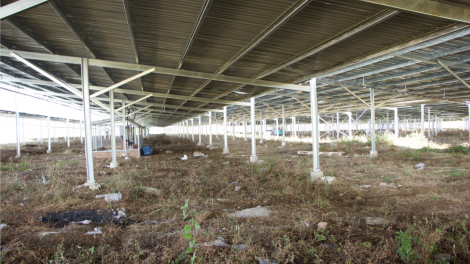 Gia Lai: “Tí tăng pơloi” tơdroăng on tơhrik mâ hâi a kuâ hngêi vâ tê yă kơnâ