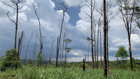 Hiăng hlo ai tơdroăng “kâ ‘nhê kong”