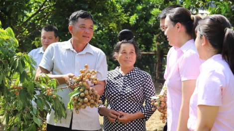 Liăn mung kơjo, ivá ăm mâu kơtiê mơ-eăm tơkâ luâ xơpá