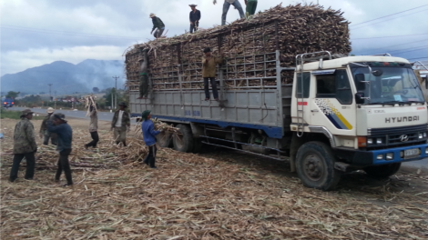 Gia Lai: Pêt kơtếo tung deăng kân rơdâ vâ mơnhông ăm kơvâ kơtếo xik