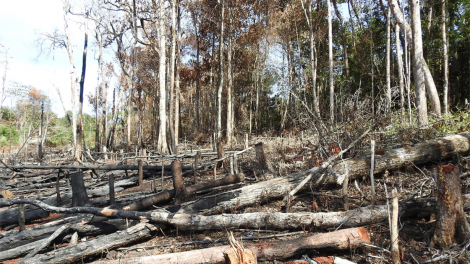 Tiâ mơnhên a rôh a rôh hôp Ho#i đong Kon Tum: tơdroăng ki ko ‘nhiê kong [ă leăm, tê mơdró tơnêi tơníu