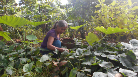 Ki kơhiâm hơ-iâ dêi kơchâi hmêng Rơteăng