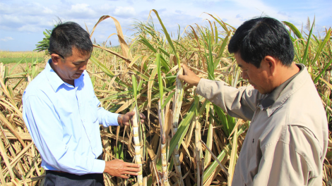 Kring gak tung pêi pêt a mâu deăng kơtếo Kon Tum