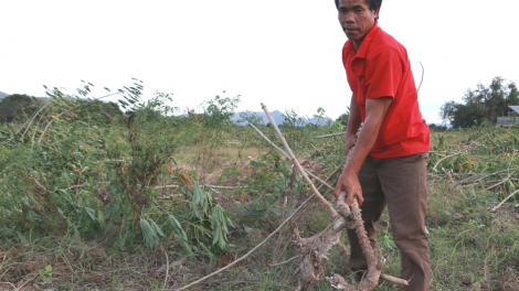 Gia Lai: Trâm pá ing tơdroăng ăm vâi mung pêi tơnêi pê kâ