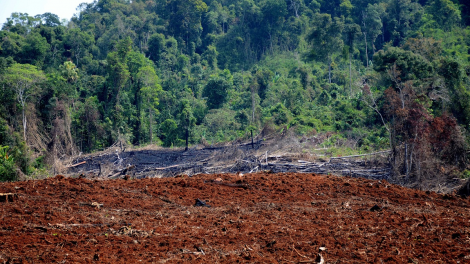 15 ha kong tro ko kếo a Dak Nông: Ngế pơkuâ kong hôm veăng khu ‘mêi ko kong há?