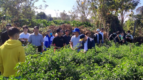 Droh rơtăm tơring kơtiê Buôn Đôn kum dêi pó pơxiâm tăng cheăng pêi