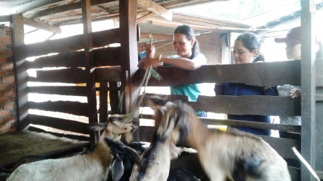 H’Bop Ayun – ngế ki vâi nâ o tung pơlê tơngah hluăn ing kơtiê