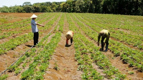 Kon Tum: Tăng tíu ki vâ mơjiâng pơkeăng ing nhâ loăng akố