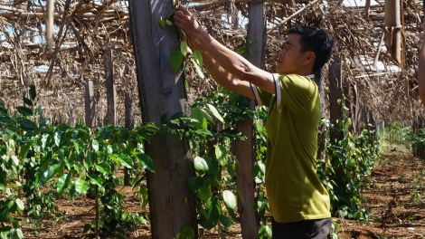 Dak Lak: Pro kro ing kơpong tơnêi ‘’5 ôh’’