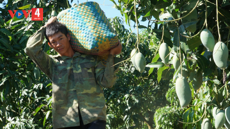 Dak Nông mơ-eăm djâ tơmeăm vâ tê