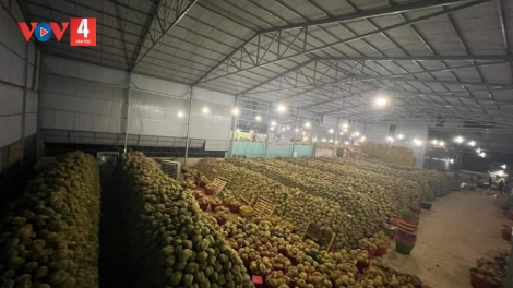 Dak Lak thăm pêi tơdroăng pơkuâ mah kơpong pêt plâi sầu riêng klêi kơ’nâi mâu tơdroăng ôh tá hâi tơleăng nhên