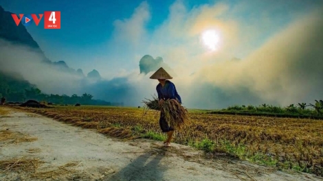 CHƯƠNG TRÌNH KHAY HENG TÀY-NÙNG (Thứ Ba- Vằn xo 01/11/2022)