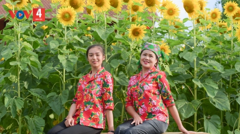 CHƯƠNG TRÌNH KHAY HENG TIỂNG TÀY NÙNG  (Thứ Tư – Vằn 02/11/2022)