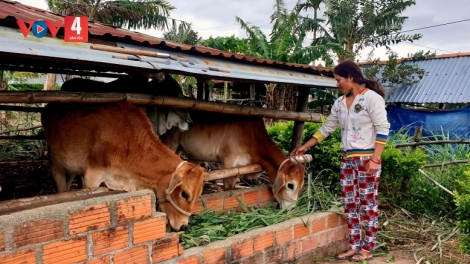 Gia Lai giảm nghèo vùng dân tộc thiểu số